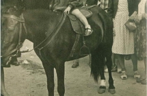 1959 rok