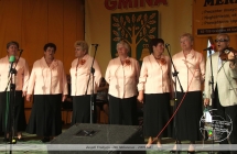 Zespol Tradycja - Dni Malanowa - 2009 rok