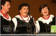 Zespół Jarzebinki na Dniach Malanowa - 2007 rok