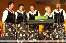 Zespół Jarzębinki na Dniach Malanowa - 2007 rok