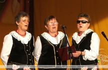 Zespół Jarzebinki na Dniach Malanowa - 2007 rok