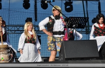 Zespół Jarzębinki na Dniach Malanowa - 2014 rok
