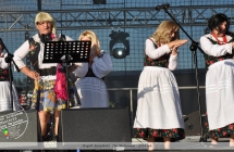 Zespół Jarzębinki na Dniach Malanowa - 2014 rok