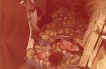 Wystawa płodów rolnych - Dożynki w Grąbkowie - lata 80-te XX wieku