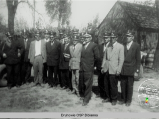 Druhowie OSP Bibianna 1